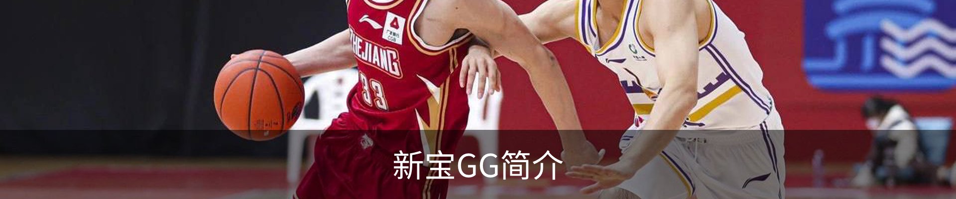 新宝GG简介